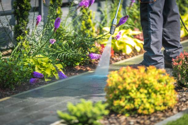 Best Dumpster Area Cleaning  in Morro Bay, CA